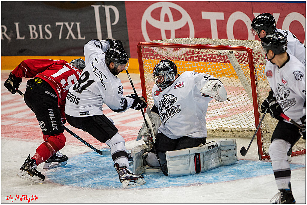 Koelner Haie - Nuernberger Ice Tiger, 04.12.2016